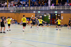 6H0A0551
