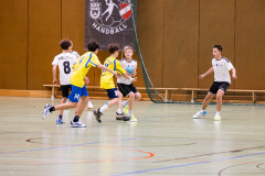 6H0A0690