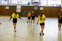 6H0A3731