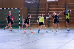 6H0A3768