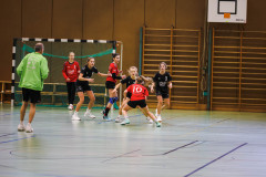 6H0A1100