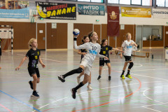 Spieltag wE-Jugend in Weingarten - 24.11.2024