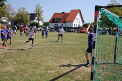 IMG_5604