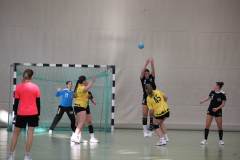 wB Bregenz 22.11.2025