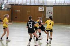 wb_Bregenz0026