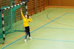 wC_2025_23_11_Lindau0072