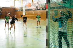 wC_2025_23_11_Lindau0096