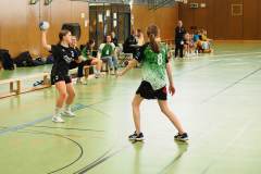 wC_2025_23_11_Lindau0111