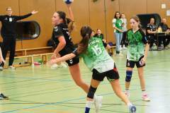 wC_2025_23_11_Lindau0128