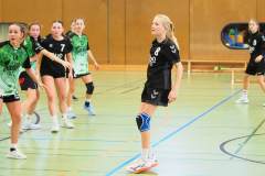 wC_2025_23_11_Lindau0064