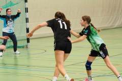 wC_2025_23_11_Lindau0065