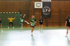 wC_2025_23_11_Lindau0081