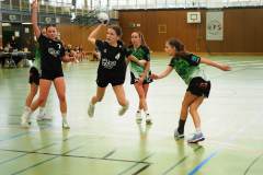 wC_2025_23_11_Lindau0090