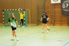 wC_2025_23_11_Lindau0103