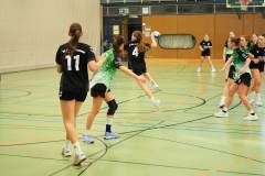 wC_2025_23_11_Lindau0104