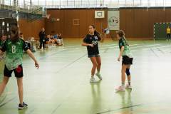 wC_2025_23_11_Lindau0112