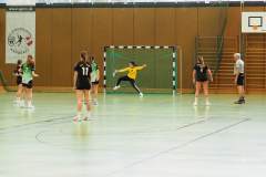 wC_2025_23_11_Lindau0125