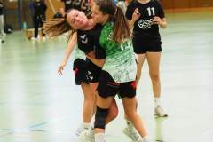 wC_2025_23_11_Lindau0126