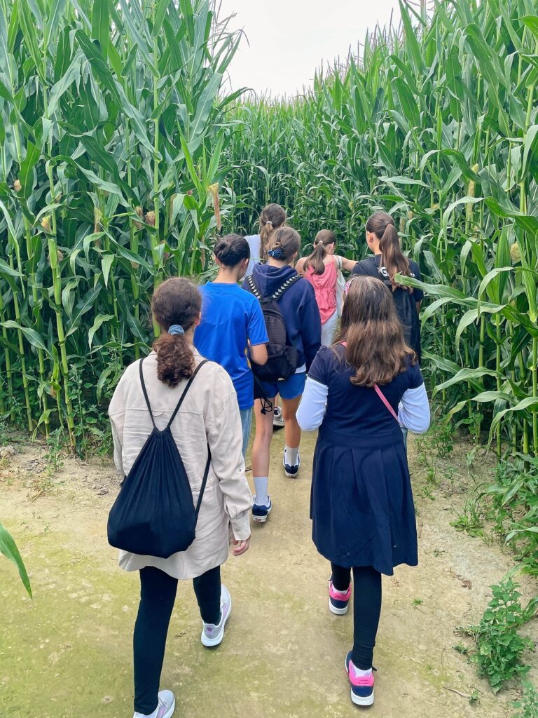 Weibliche C Jugend im Maislabyrinth